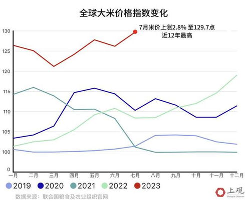 国际米价大跌，影响、原因及未来展望分析