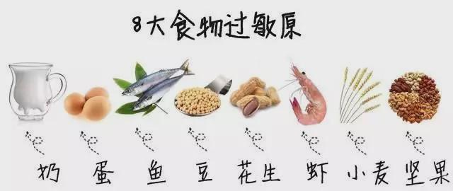 朱丹食物过敏事件引发关注，鸡蛋过敏揭示食物过敏应对之道