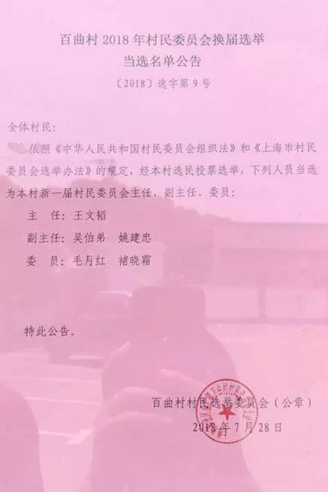 湾子村委会人事任命最新名单公布