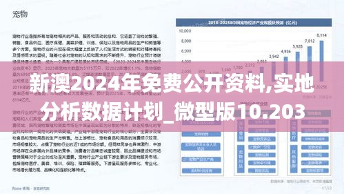 2024新澳最准确资料,数据实施导向策略_Elite48.177