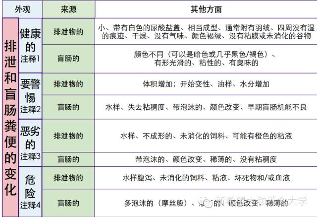 2024新澳历史开奖,高效解析说明_FHD版24.311