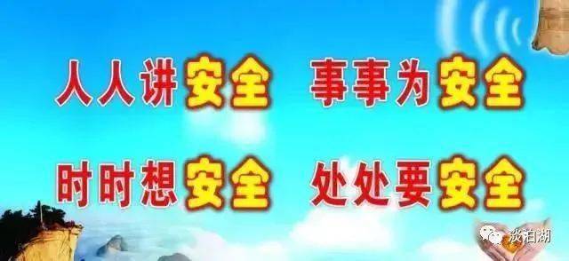 政府回应贵州一村有20处地陷,安全设计解析策略_模拟版39.258