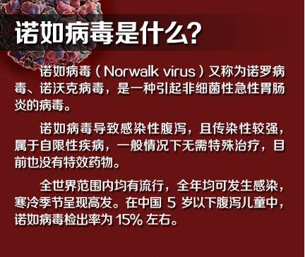 仲萨巴村最新招聘信息全面解析