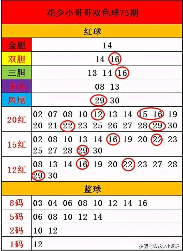 白小姐今晚特马期期准六,定性解析评估_LT62.868