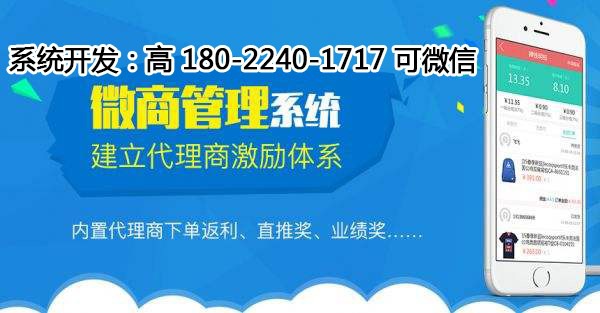 2024年管家婆的马资料,系统化推进策略研讨_Hybrid66.856