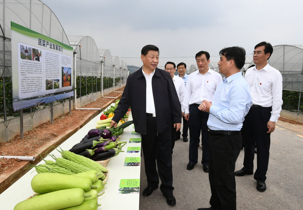 申港镇最新动态，蓬勃发展引领时代潮流