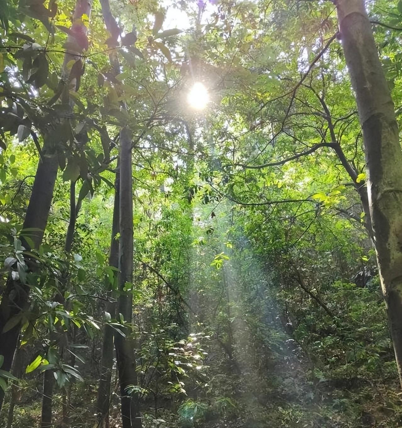 女子穿板鞋爬山归家，脱鞋瞬间惊现神秘意外