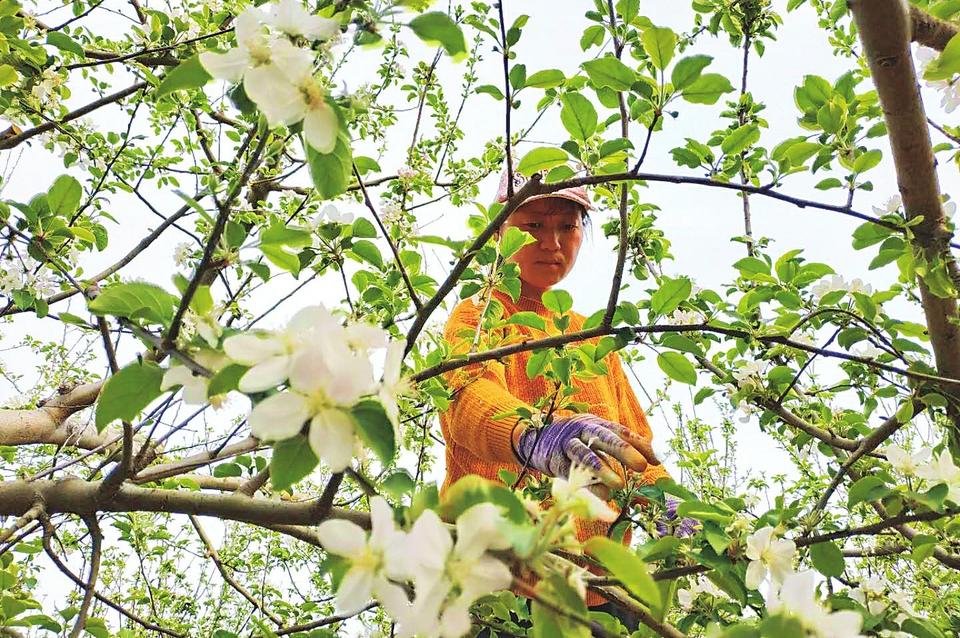 山西省临汾市曲沃县北董乡天气预报更新通知