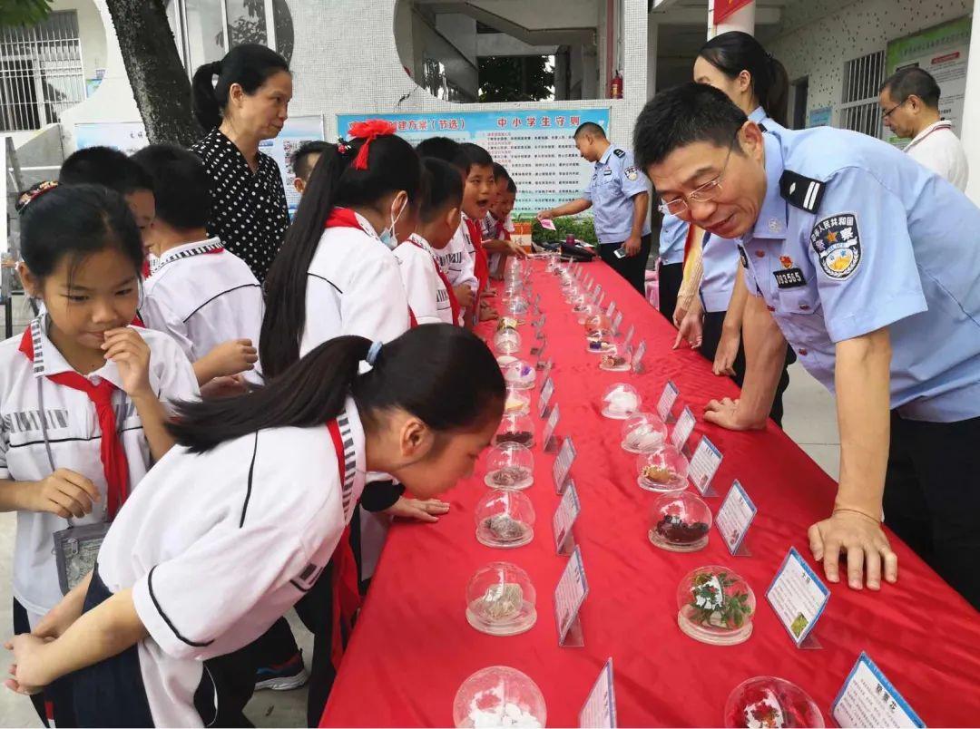 龙湖区小学领导概览最新一览表