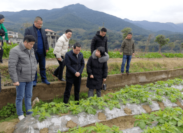 建瓯市农业农村局发布最新动态