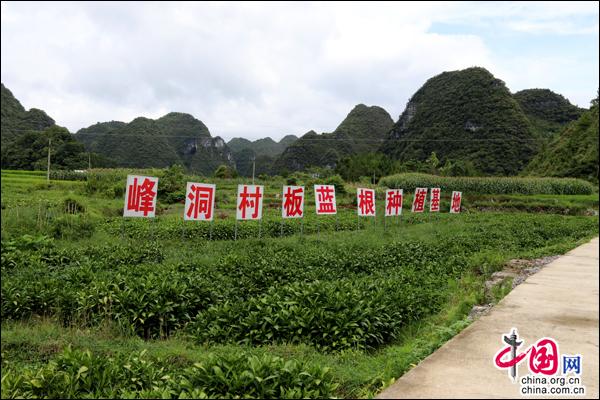 山峰村新项目，乡村振兴的新动力