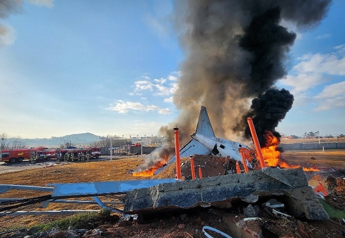 韩国客机遭鸟撞击事件曝光，航空安全警报再次拉响