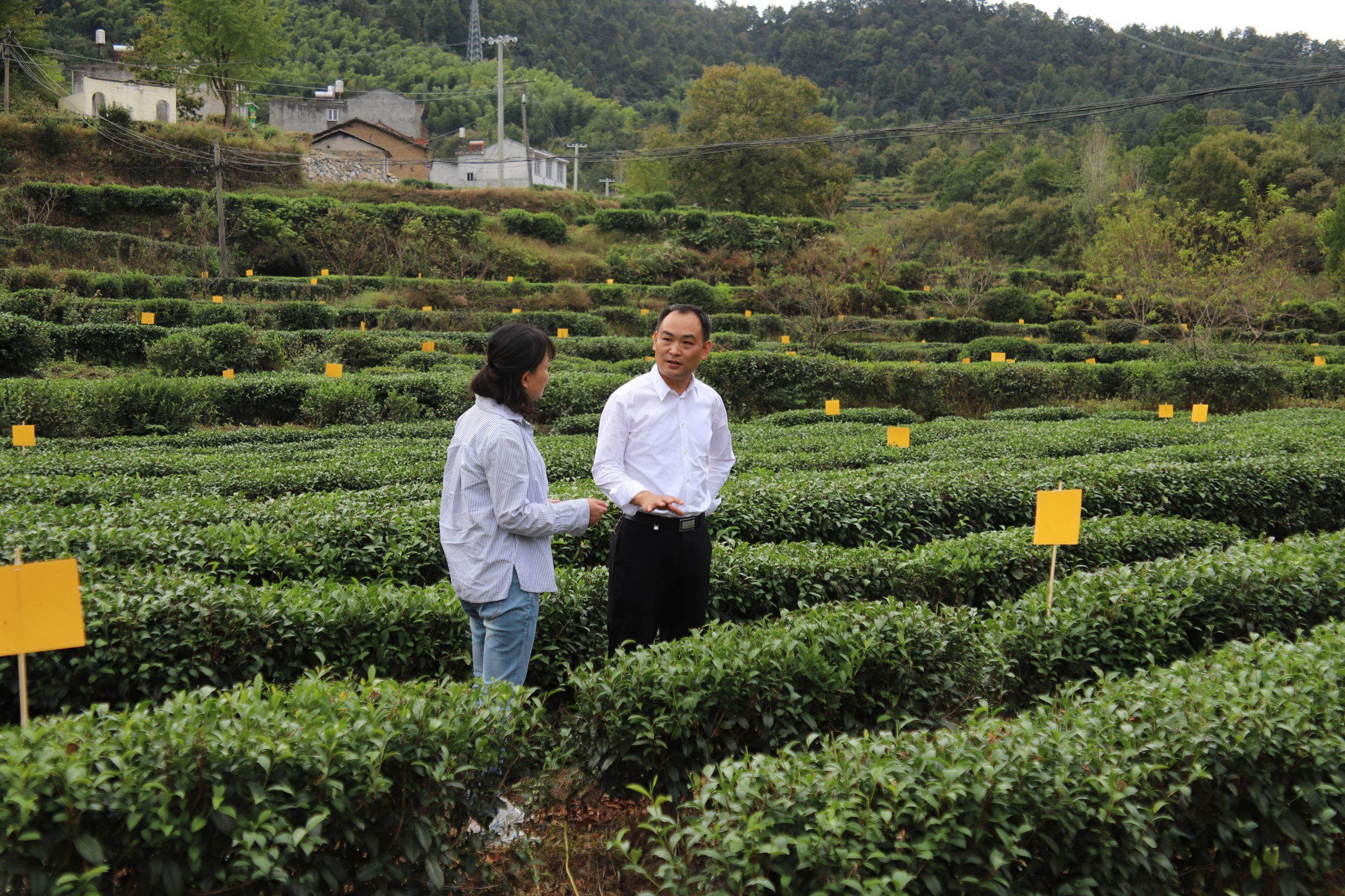 上河村民委员会，最新交通新闻概述