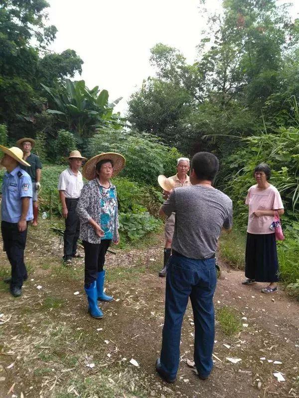 张阴山村委会最新动态报道