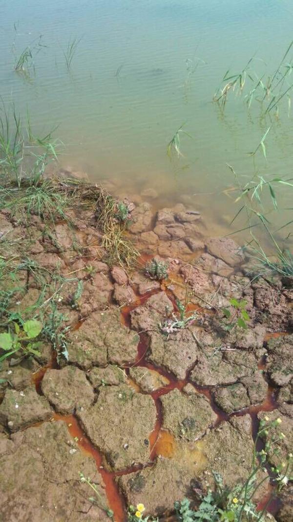 公司擅自倾倒危险废物遭罚，警示与反思的重要性