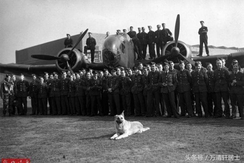 历史视角下的深度探讨，这支部队在1940年左右的水平评估