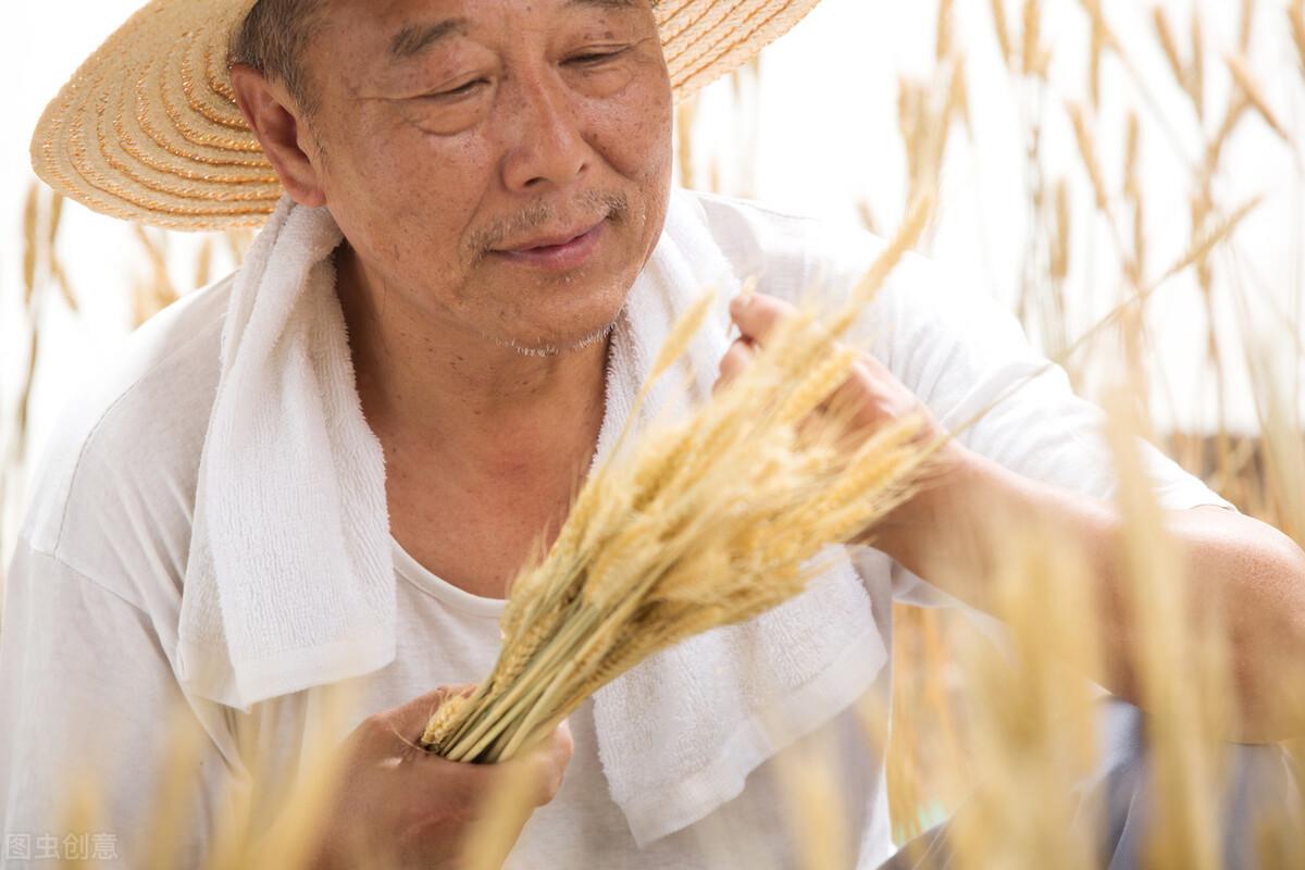 定期更换筷子可降低胃癌风险的研究揭示