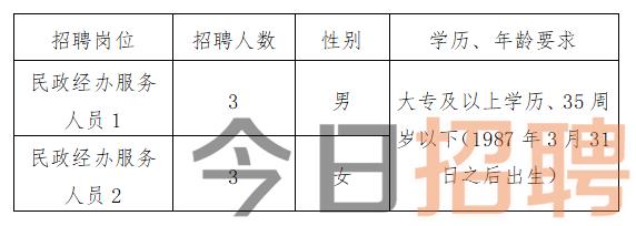 金明区人民政府办公室最新招聘概览，职位、要求及待遇全解析