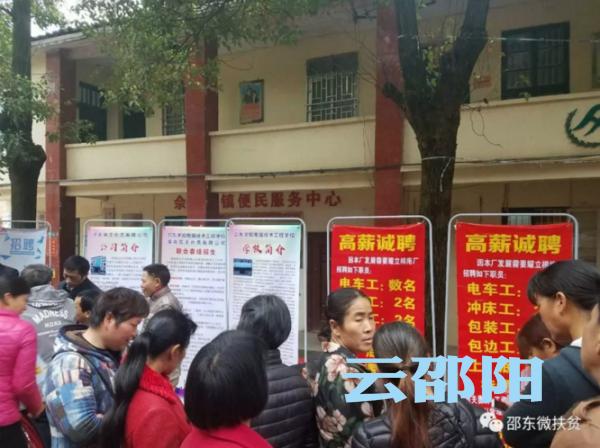 邵东县人民政府办公室最新招聘公告解读