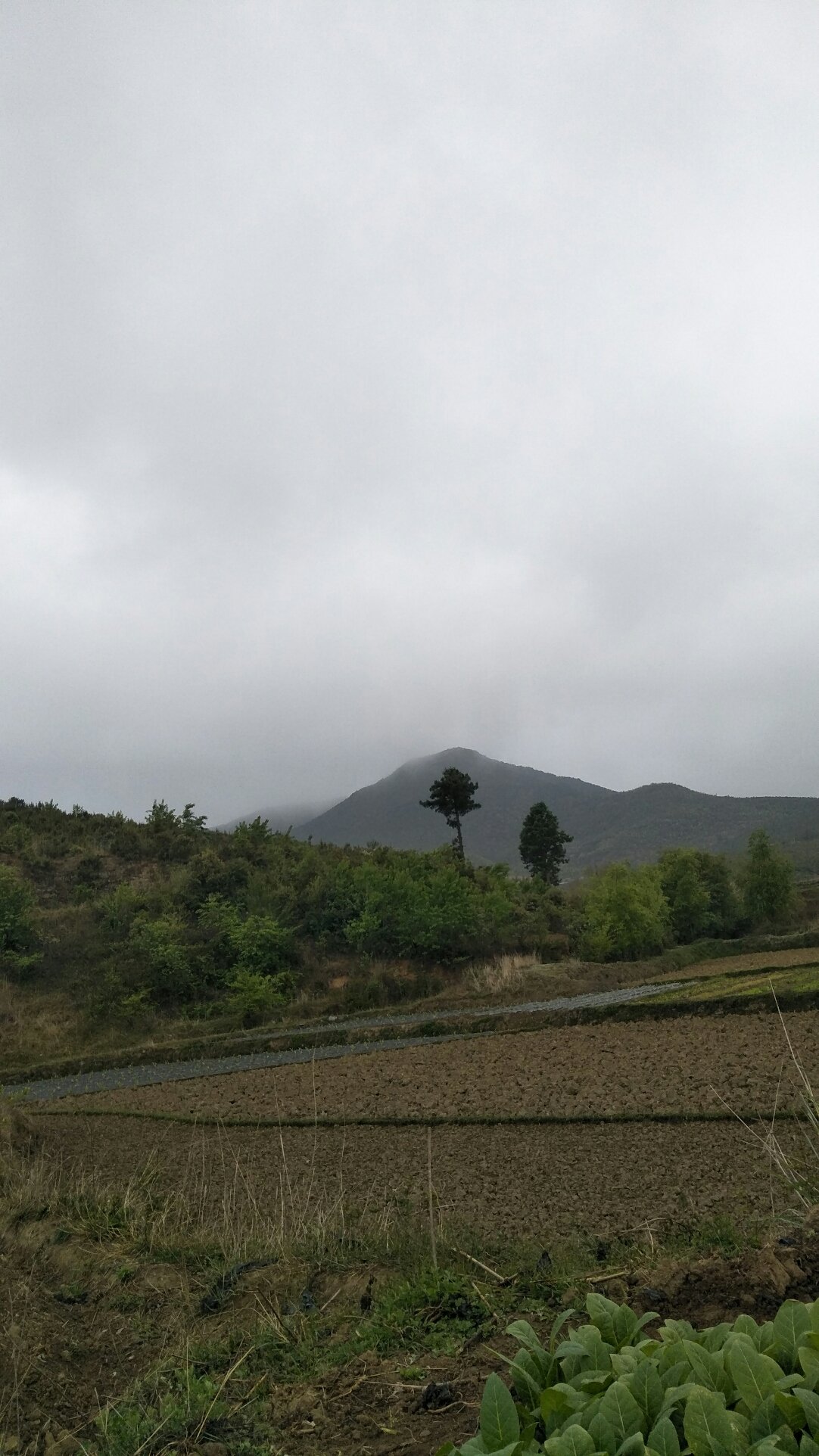 松岭门乡天气预报更新通知