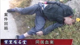 主人携遗体归家，深情告别与无尽怀念的感人瞬间