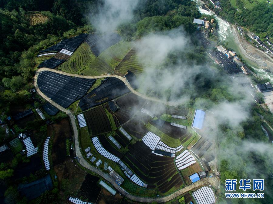 贡山独龙族怒族自治县殡葬事业单位项目最新进展及前景展望