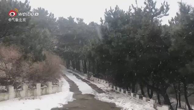 北京佛爷顶雪花纷飞开启冬日模式