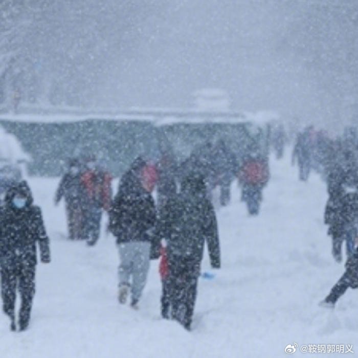 应对极端天气挑战，四预警齐发，大风寒潮暴雪大雾如何应对