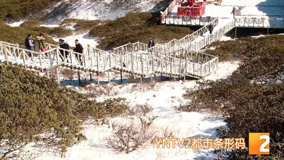 雪夜野山中的生死考验，11名驴友被困的生死故事