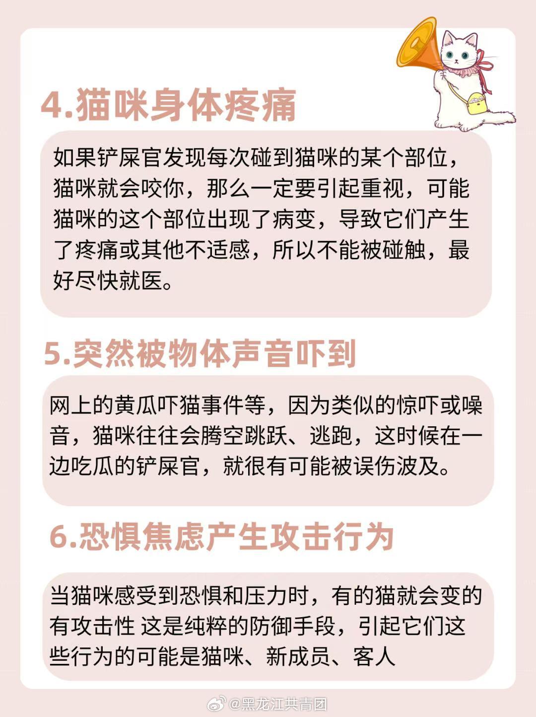 猫咪突然攻击人，原因解析、应对策略与反思