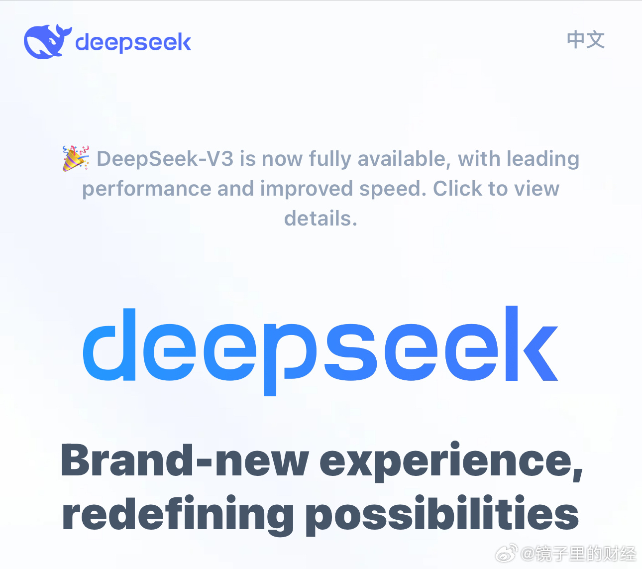 DeepSeek技术实力解析，究竟处于何种水平？