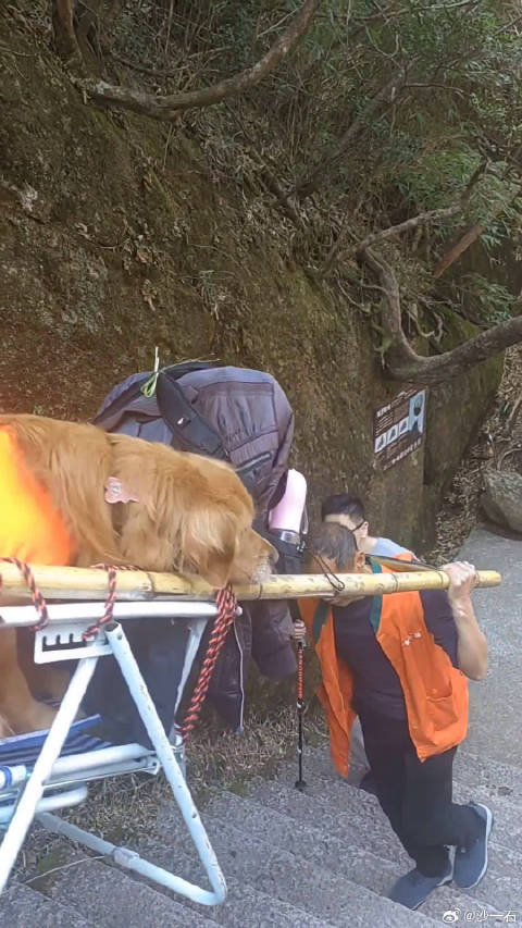 狗子怕累，一家人的别样旅行之旅