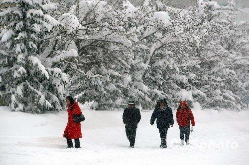 日本遭遇罕见灾害级大雪，全力抗击挑战