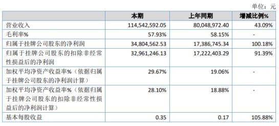 宁南县数据和政务服务局最新项目进展报告概览