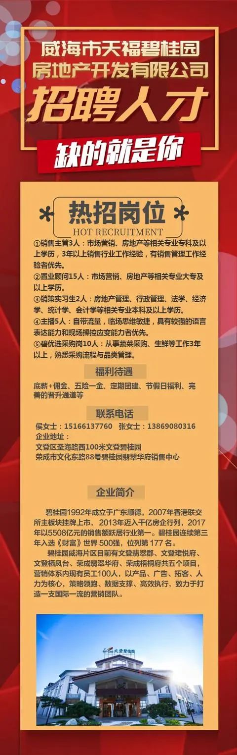 文登市初中最新招聘启事全览