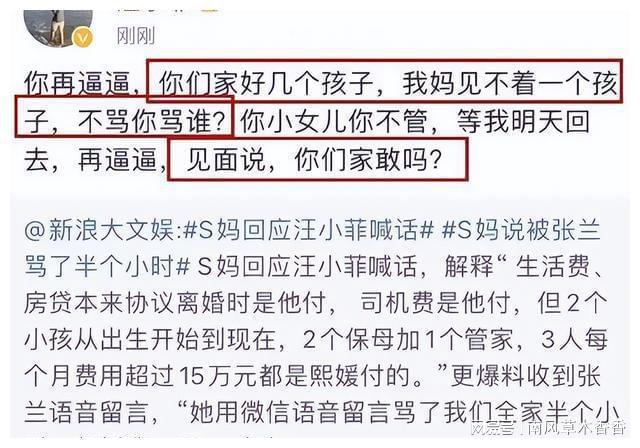 小S请假半年背后的原因与理解探究