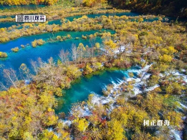 九寨沟景区推出优惠，四十岁以上游客免费畅游景区