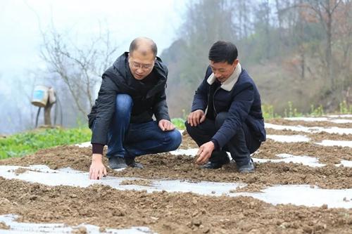 紫阳县交通运输局人事任命最新动态