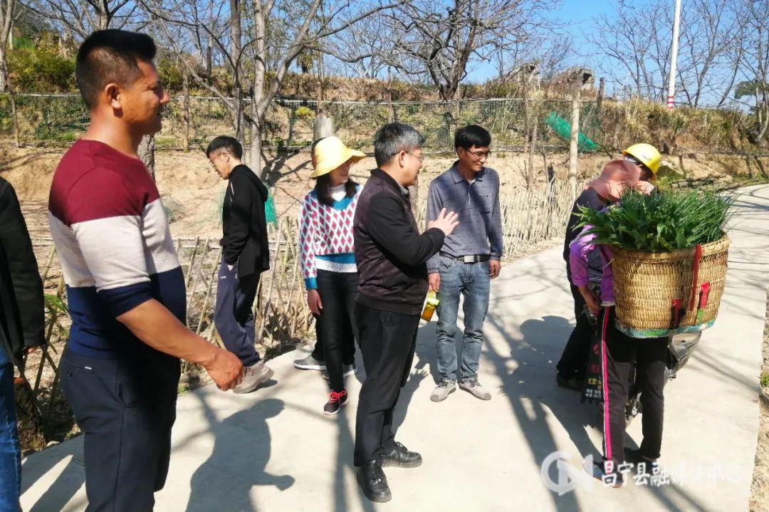 昌宁县审计局深化财政监管项目，助力县域经济高质量发展