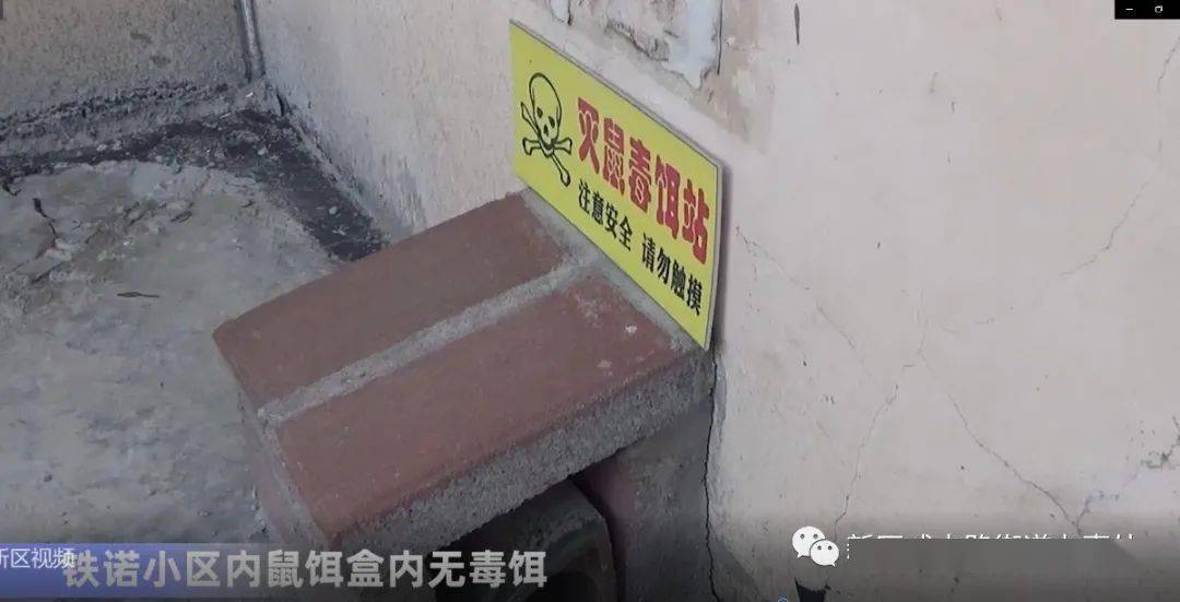 龙湾区公路运输管理事业单位最新动态与显著成就概述