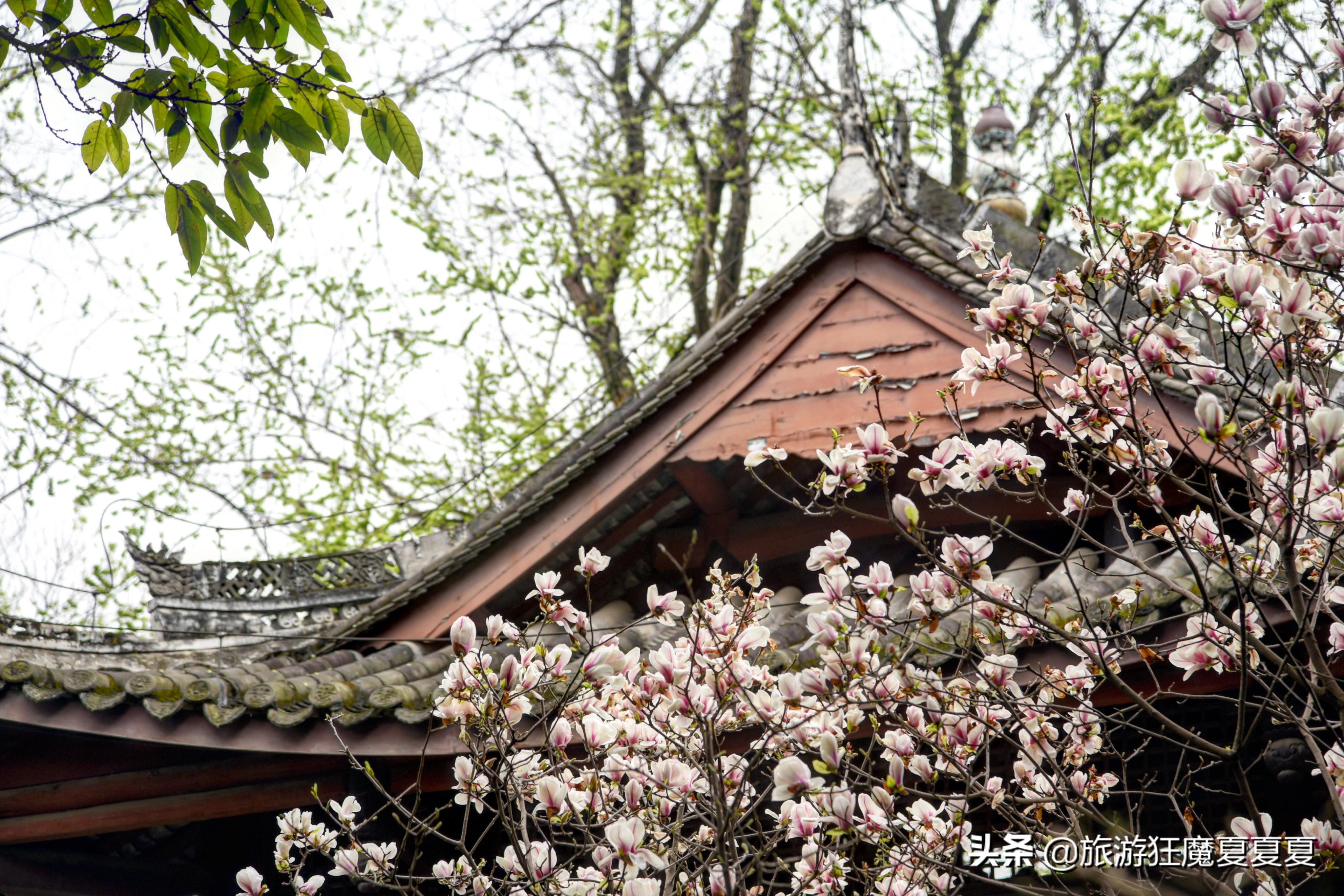 村民苦恼，住宅成文物，重建难题待解