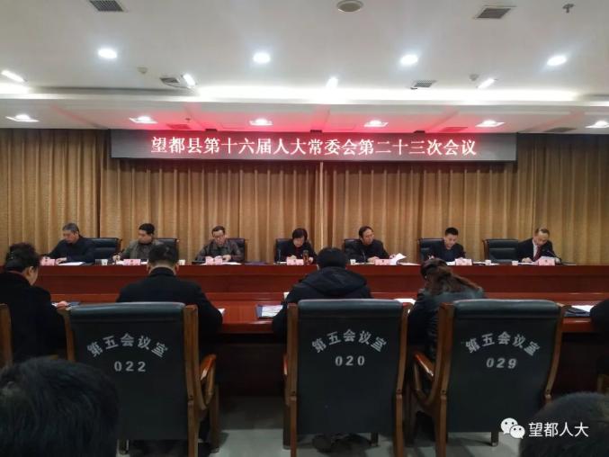 望都县人民政府办公室人事任命，未来领导团队建设的关键一步