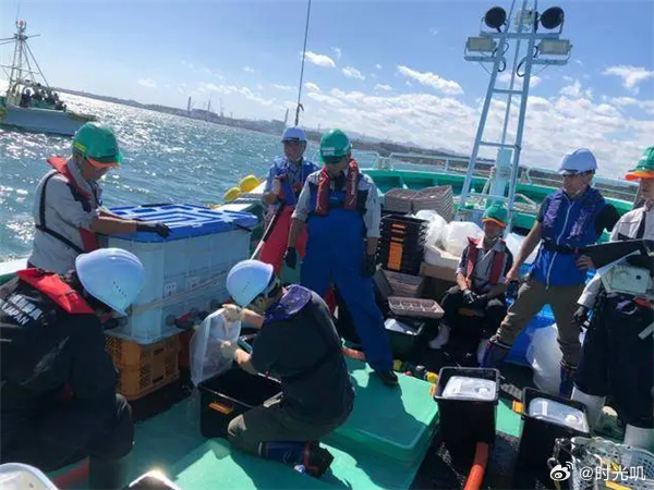 福岛核污染水生物样本运抵中国，背景解析、意义及影响探讨