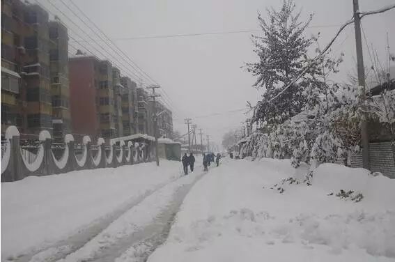 石家庄雪舞冬日，惊喜与独特魅力的绽放