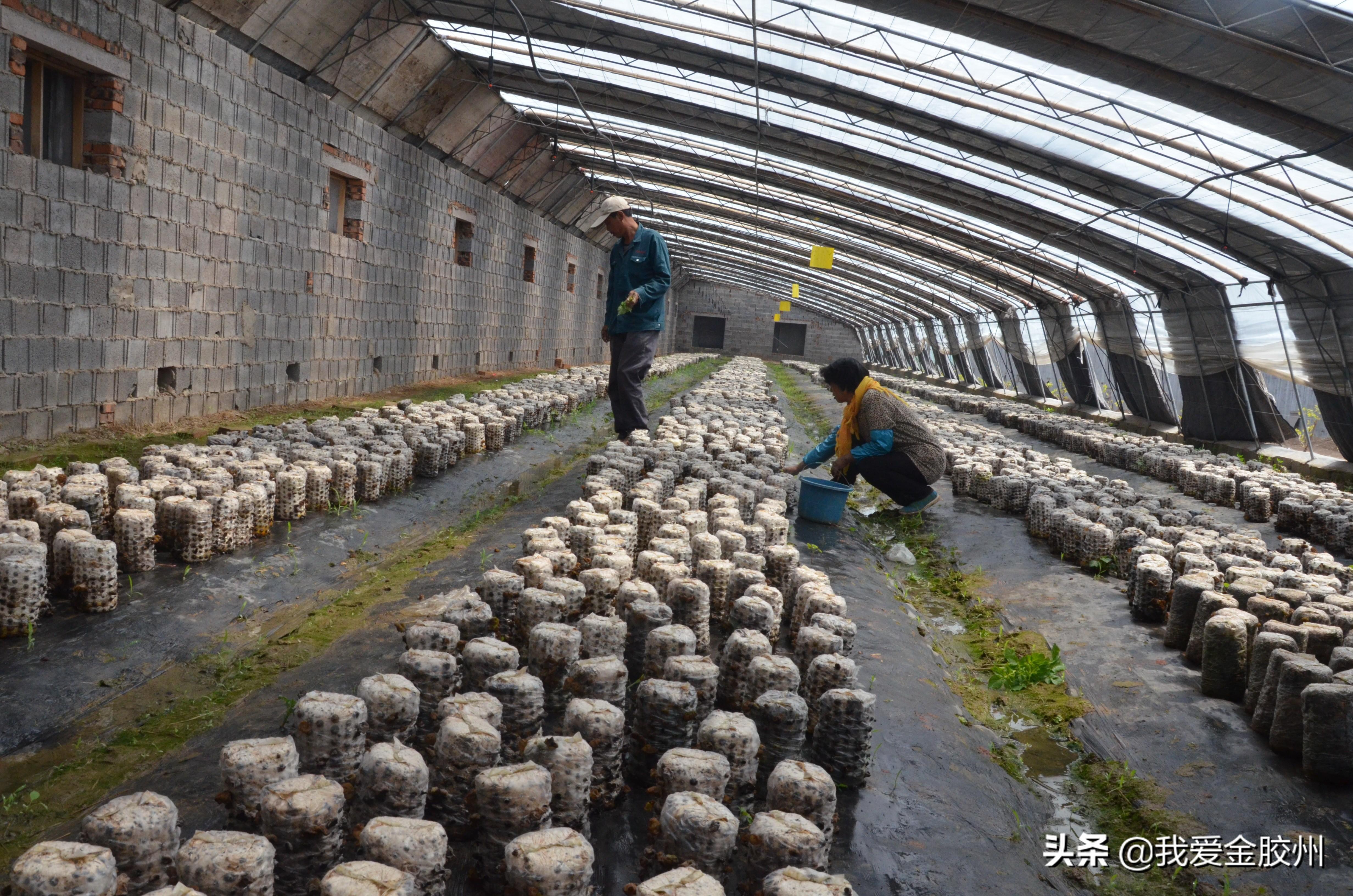 铺集镇最新招聘信息详解及解读指南