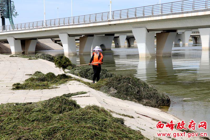 庆阳市市政管理局最新招聘启事概览