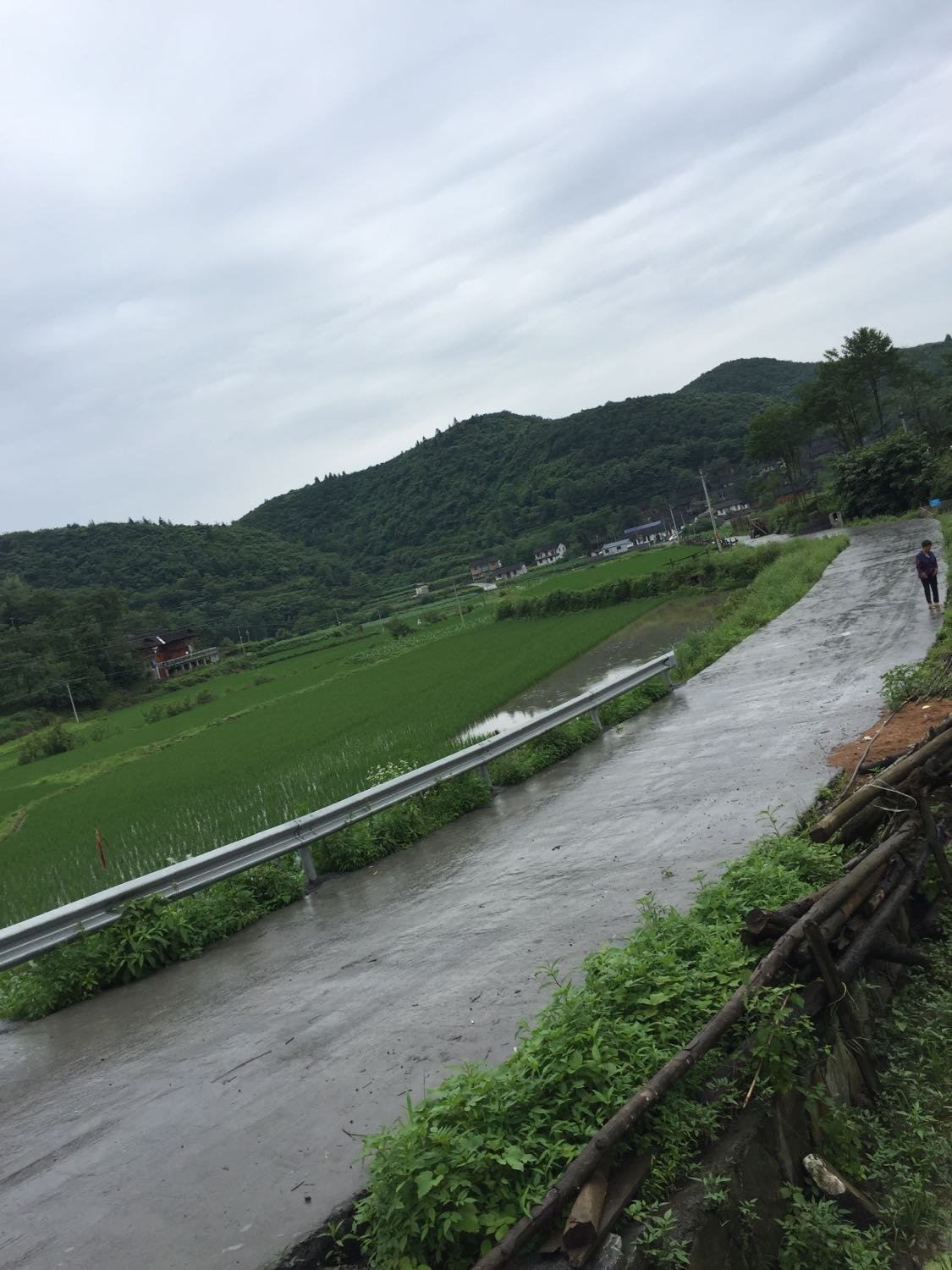 那拉村最新天气预报概览