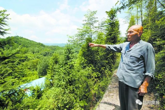 山东六旬夫妻22年植绿一座山